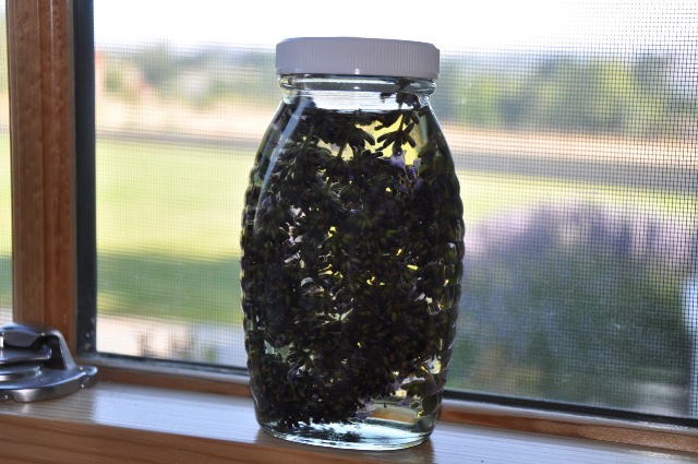 a jar of almond oil with lavender sprigs inside